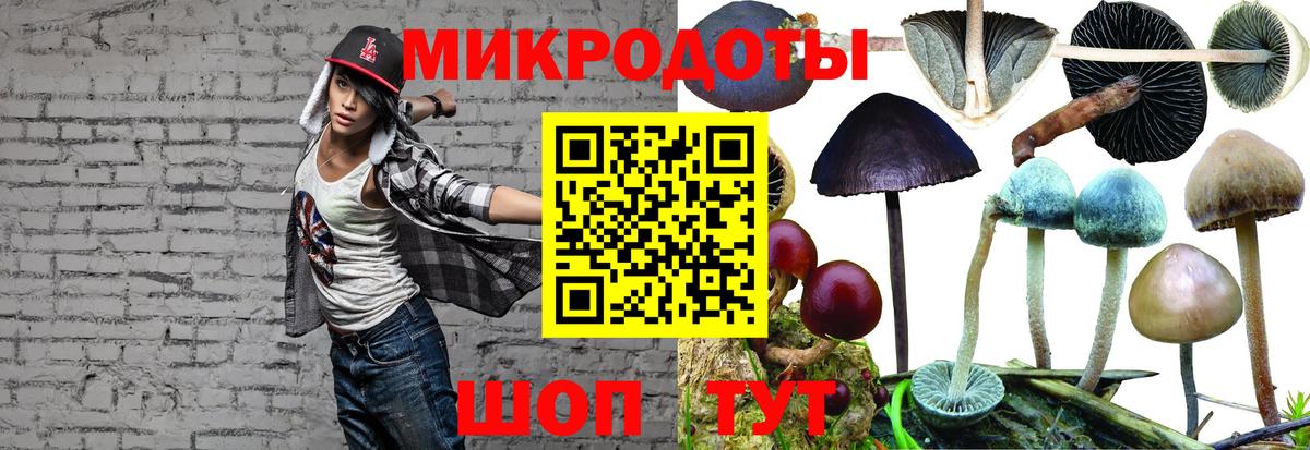 Галлюциногенные грибы MAGIC MUSHROOMS  Галлюциногенные грибы Psilocybe  Вход с VPN  Салехард 